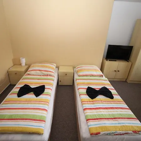 U Blanice Guest house *