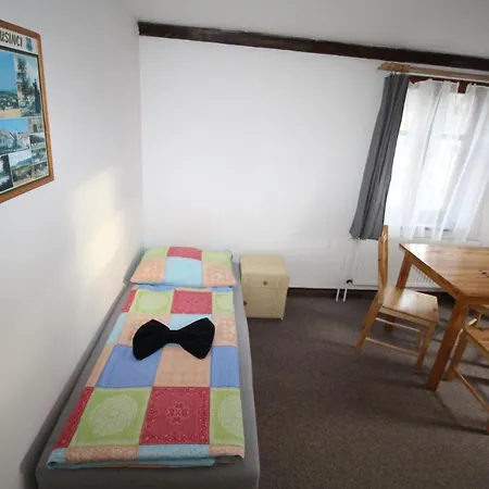 Guest house U Blanice Husinec (Prachatice)
